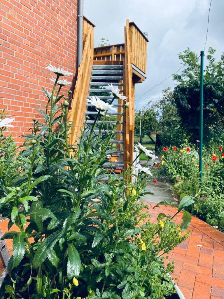 Ferienwohnung-Wildblume Petersdorf auf Fehmarn エクステリア 写真